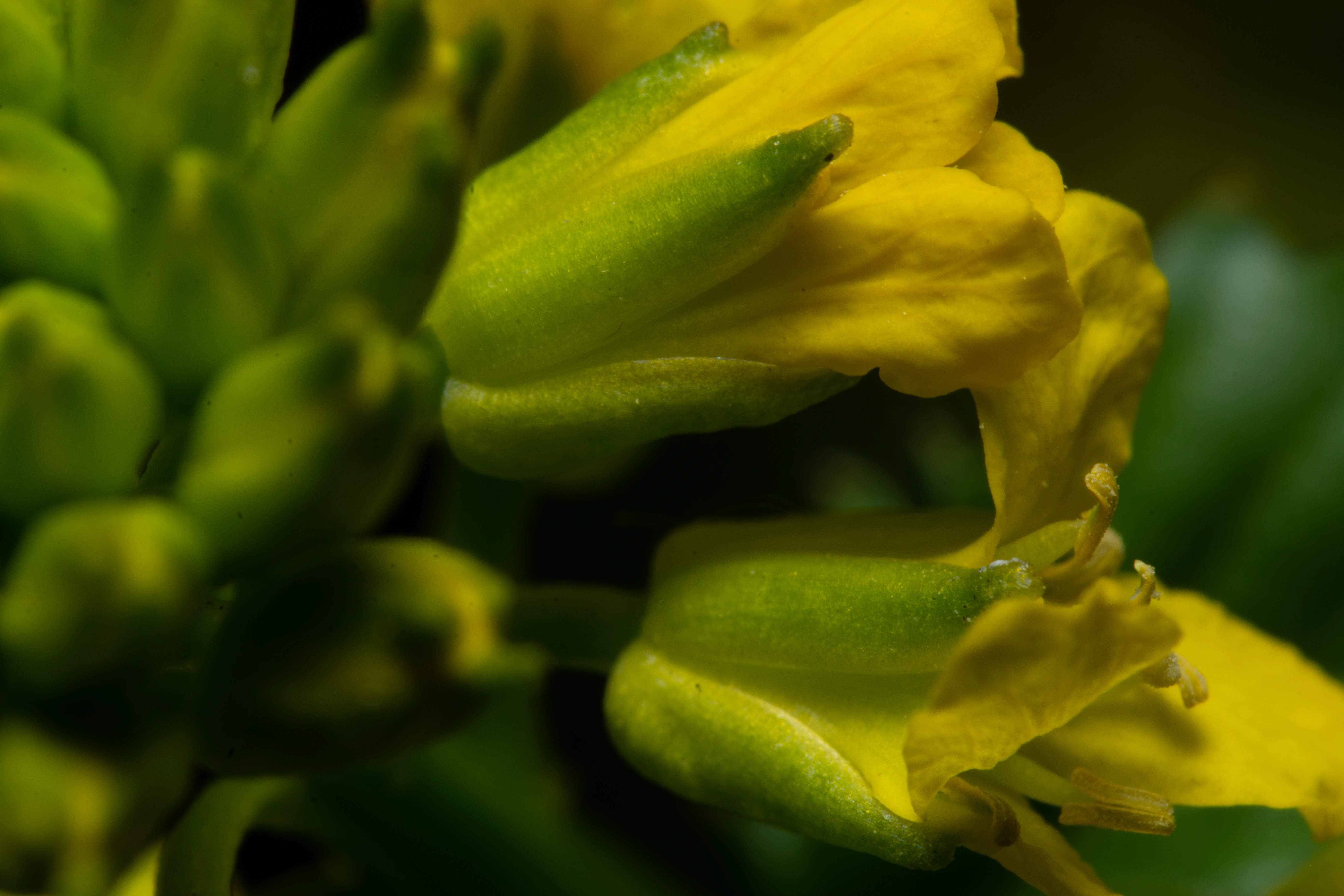 Human & Nature 14