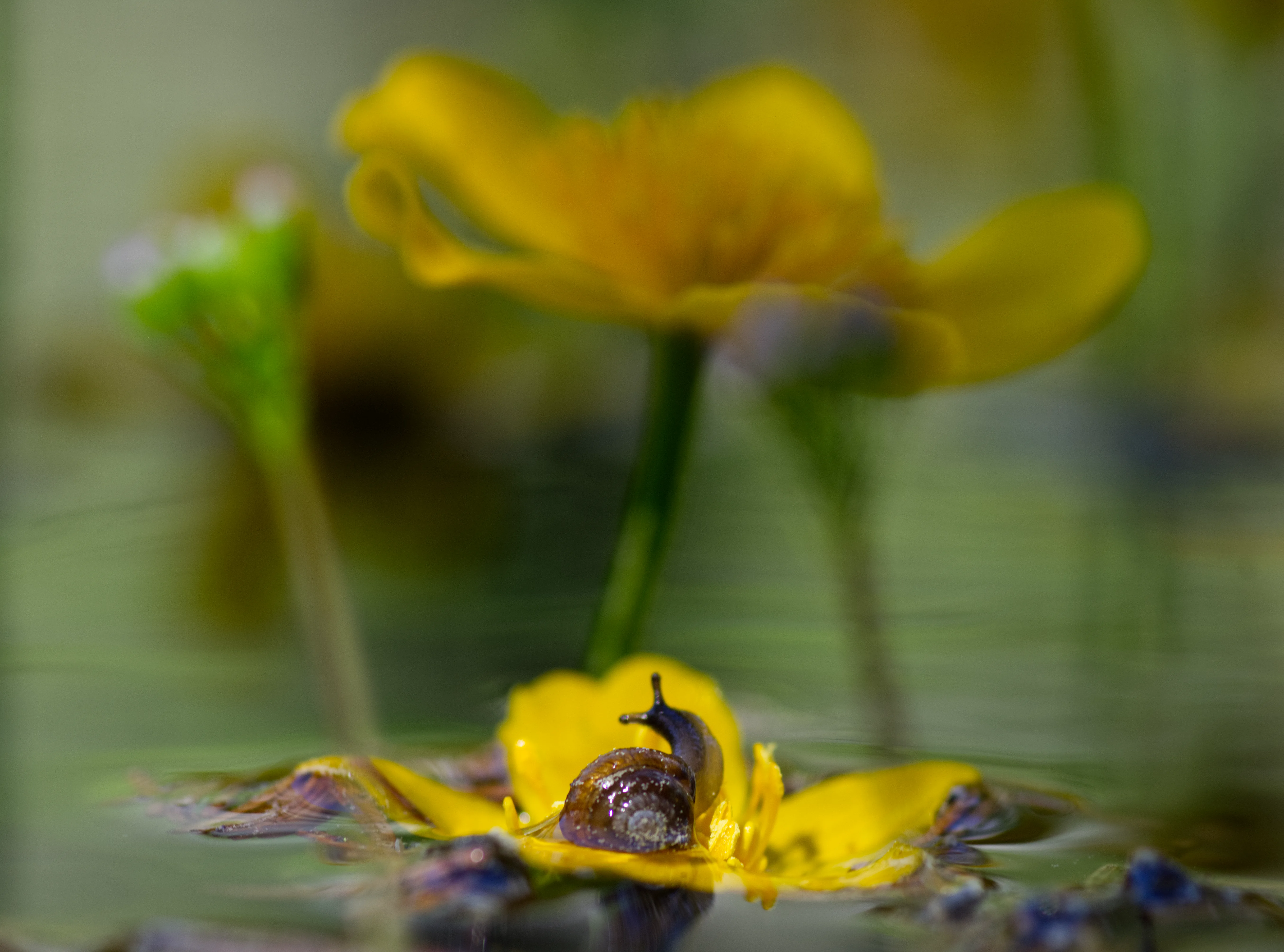 Human & Nature 16